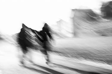 Danse Blanche - Afbeelding 2