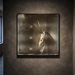 The things that keep you awake : Corpus Relicta