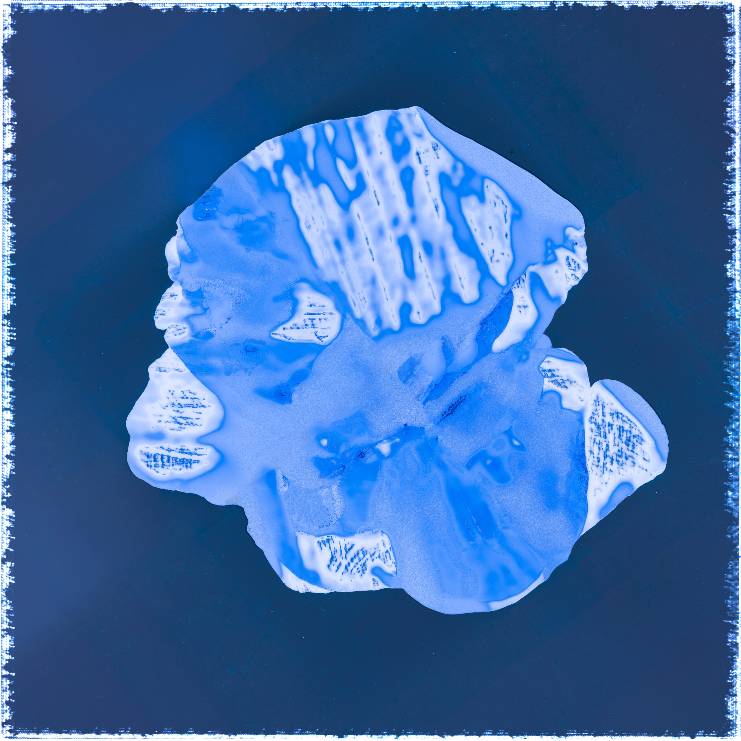 This no longer exists - Homo Extinctus - Afbeelding 2